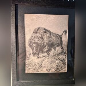 Vintage BuffaloArt Black And White Print. 127 Years Old. Recycled Book Print